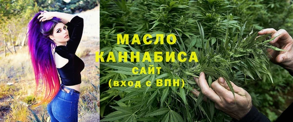 молекула духа Балахна