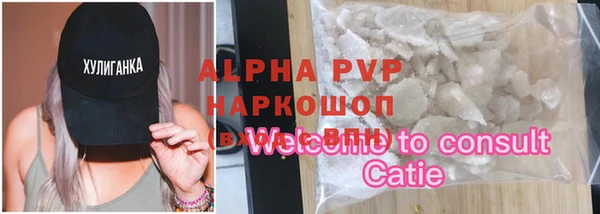 молекула духа Балахна