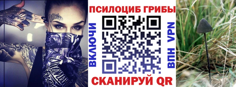 Галлюциногенные грибы ЛСД  наркотики  Боровск 